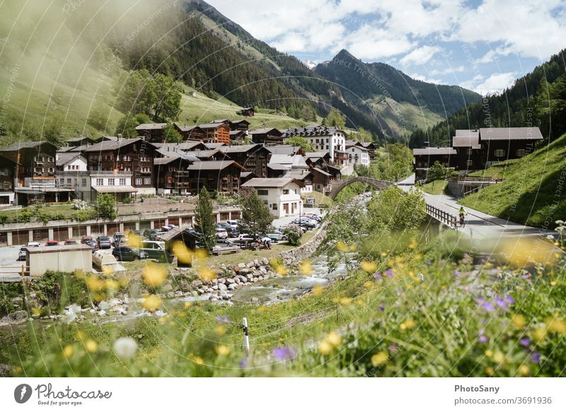 Landschaftspark Binntal Swiss Alps Schweiz wallis Bergdorf Frühling Blumenwiese Alpen Berge u. Gebirge Dorf Fluss Straße Schlucht Tal