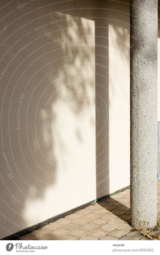 Schattenspiel Licht Säule Wand Schattenwurf Höhlengleichnis Pflaster Lichtquelle rosa Physik Farben schwarz Theater Stein Architektur Linien Beton Putz zart