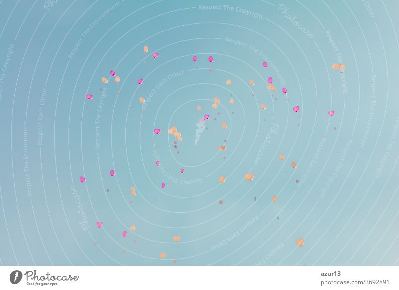 Herz-Liebes-Ballons fliegen mit Zeremonie-Wünschen in den türkisfarbenen Himmel. Romantisches Symbol für eine zukünftige Partnerschaft. Gruppe von schönen Herzballons mit Glückwunschkarten bei der Hochzeitsfeier oder am Valentinstag