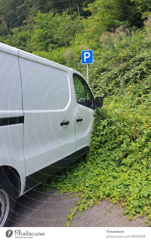 Es hat ein wenig länger gedauert... Fahrzeug Transporter Lastwagen Verkehr Güterverkehr & Logistik Parkplatz Verkehrsschild Grünpflanze wachsen wuchern