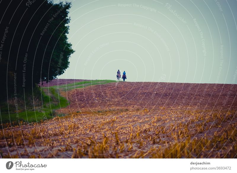 Auf dem Rücken der Pferde...., Zwei Reiter in der Ferne auf abgeerntenem Feld . Im Hintergrund blauer Himmel. Links von Ihnen ein Waldstück. pferde gehen Sommer