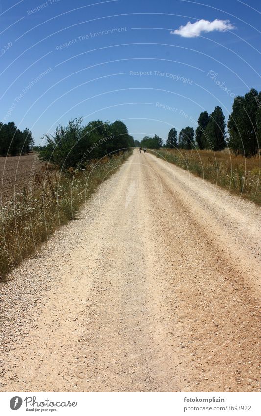 schnurgerader Schotterweg mit kleiner Wolke am Himmel im Sommer Wege & Pfade Feldweg Landstraße heiss kleine Wolke Landschaft Gerade geradeaus vorwärts