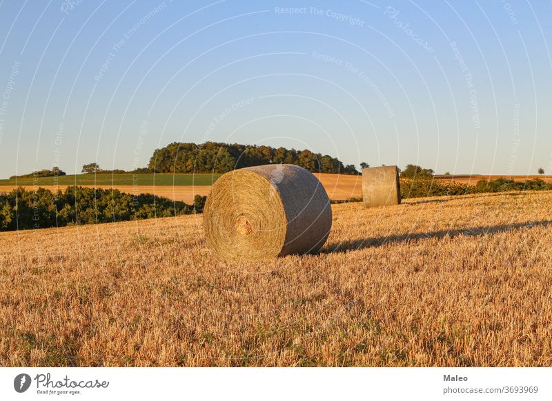 Heuballen auf einem landwirtschaftlichen Feld. Ländliche Natur auf dem Bauernhof Ackerbau Ernte ländlich Ballen Landschaft Stroh Himmel Sommer golden Weizen