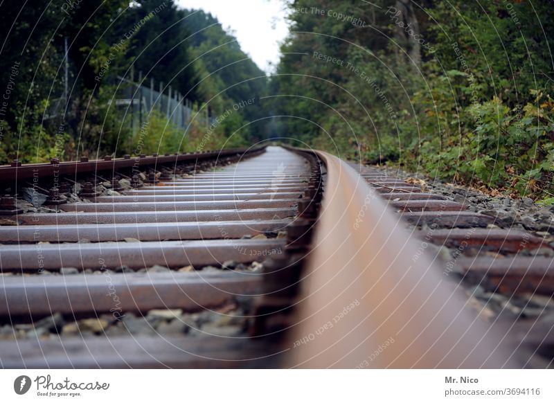 Eisenbahnstrecke durch den Wald Eisenbahnschwelle Schienenverkehr Gleise Verkehr Verkehrswege Verkehrsmittel Bahnfahren Schienennetz Güterverkehr & Logistik