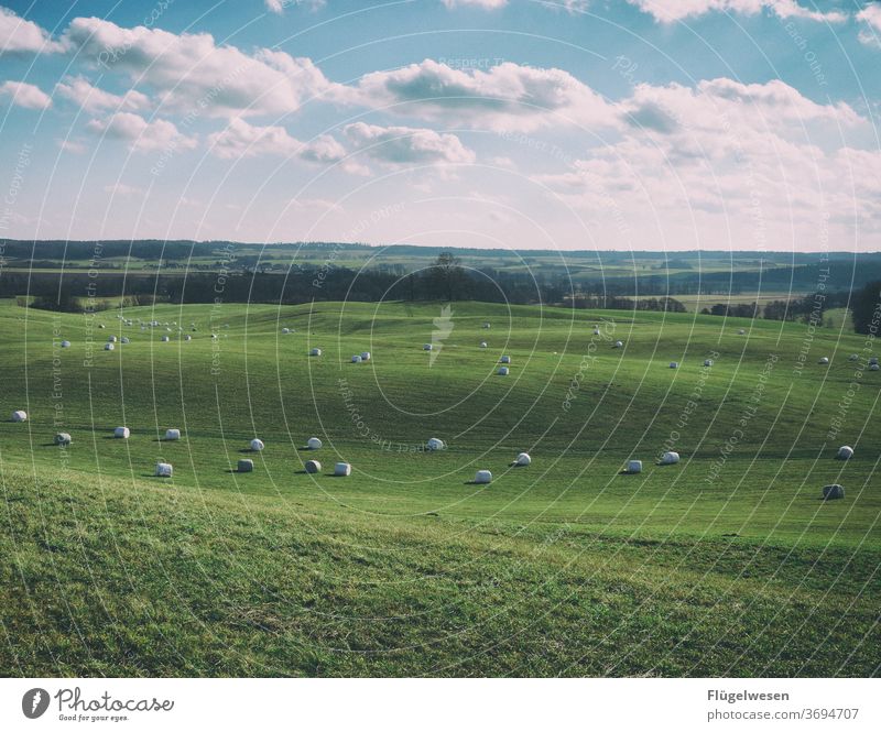 Urlaub im Norden Mecklenburg-Vorpommern Mecklenburgische Seenplatte Mecklenburgische Schweiz MV Meck-Pomm nordengland Umwelt Ernte Heu Strohballen Himmel weite