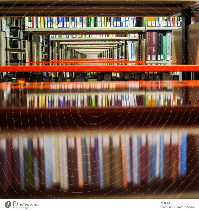 Bücherregal Buch Bibliothek Universität Bildung Erwachsenenbildung Studium lernen lesen viele Antiquariat Ordnung sammelband Wissen forschen studieren