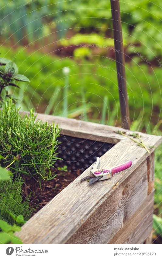 Frische Bio-Ernte Hausgartenkräuter Ackerbau Biographie Blütezeit züchten Zucht Kindheit Wintergarten kontrollierte Landwirtschaft Bodenbearbeitung Lebensmittel