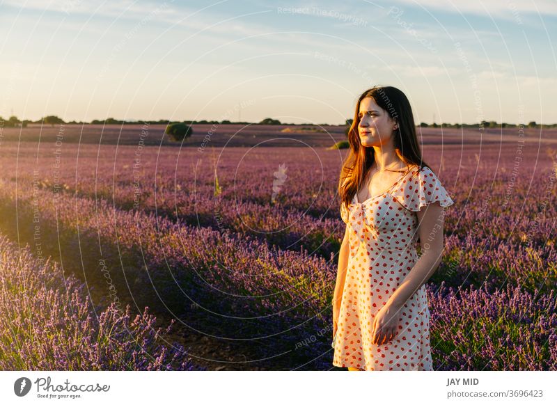 Eine Frau in einem Kleid geht bei Sonnenuntergang durch ein Feld mit blühenden Lavendeln. Während der Sommerferien schön Natur Blume natürlich laufen Freiheit