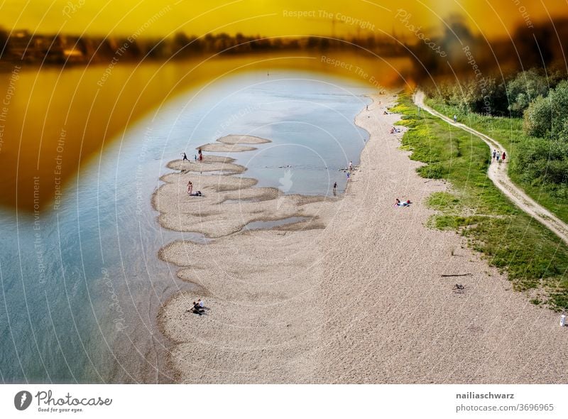 Rhein&Müll ufer Landschaft Landschaftsformen Fluss Flussufer Natur Wege & Pfade Glasscheibe Niedrigwasser Trockenheit Salierbrücke Brücke Farbfoto Urlaub Umwelt