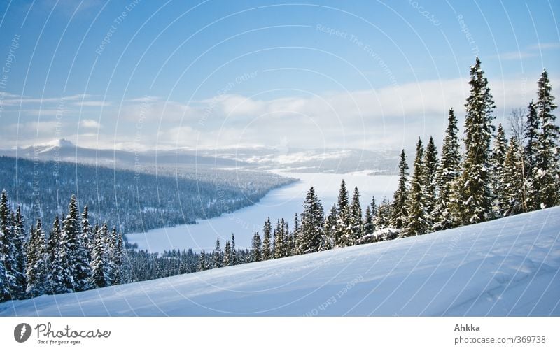 Panoramablick in ein winterliches sonniges verschneites Tal mit großem See das von bewaldeten verschneiten Bäumen gesäumt ist und von einem blauen Himmel überzogen wird und in das ein Sonnenstrahl fällt