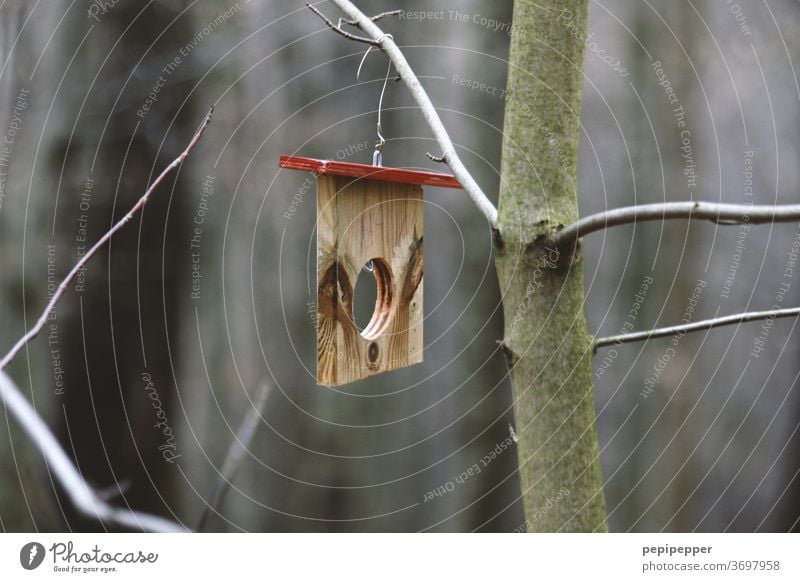 Plattenbau, kleines Vogelhaus an einem Baum Farbfoto Natur Außenaufnahme Pflanze Umwelt Landschaft grün Wald Winter Haus Ast Loch Holz Menschenleer Tag braun