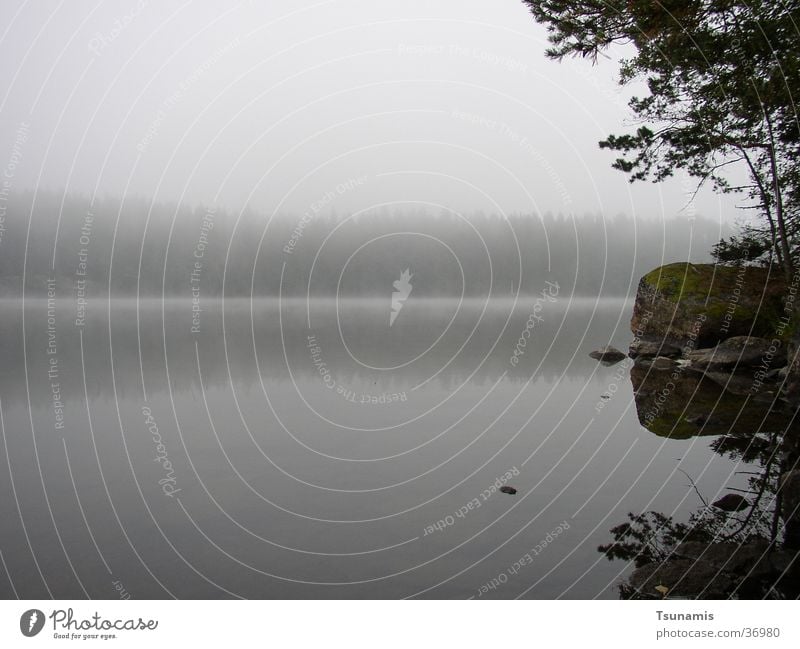 Morgen am See Nebel Schweden Küste