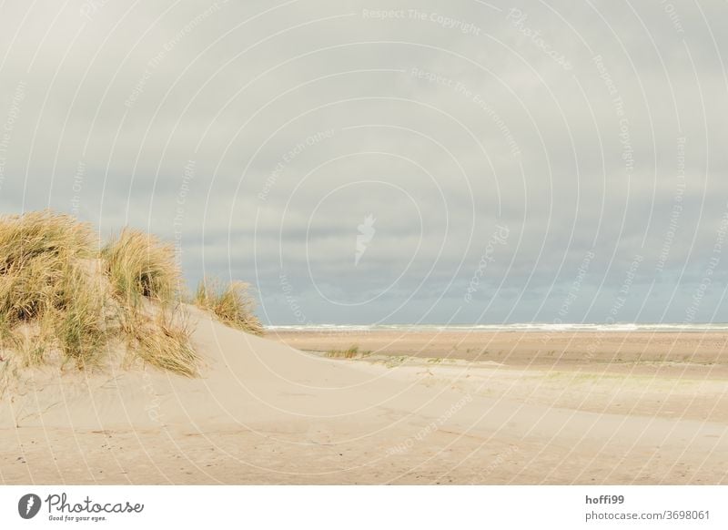 stürmisches Wetter am weiten Strand von Skagen Meer stürmische zeiten Küste Sommer Landschaft nass Wasser Ferien & Urlaub & Reisen Erholung ebbe und flut