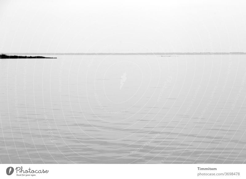 Fjord mit kleiner Landzunge Dänemark Ringkøbingfjord Nordsee Wasser Wellen sanft Horizont Schwarzweißfoto Himmel Menschenleer Ferien & Urlaub & Reisen