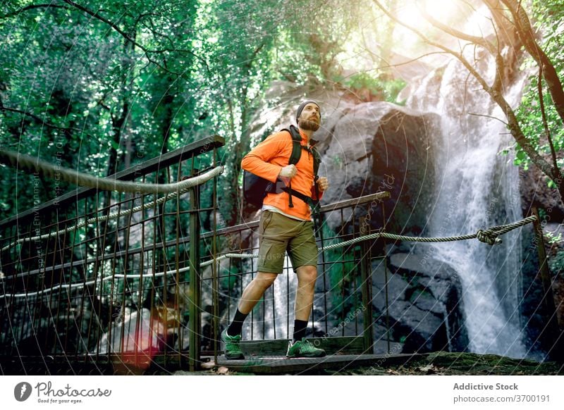 Reisender Mann auf Brücke im Wald Urlaub bewundern Suspension sorgenfrei Vollbart Fernweh männlich Abenteuer erstaunlich Natur Wälder Trekking Wanderung