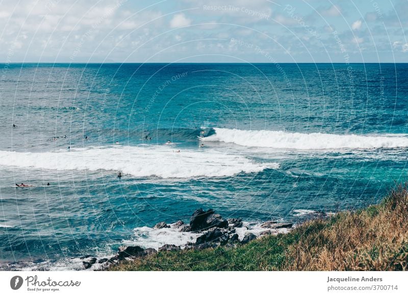 Surfer in Maui warten auf die nächste Welle im Meer meer maui wasser blau landschaft surfer wellen brandung Surfbrett Küste Sport Lifestyle traumhaft Surfen