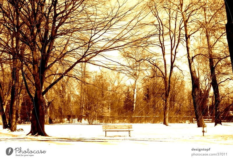 aare island Winter Aarau Aare Schnee farbeffekt