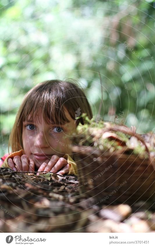 Wer hat Angst vorm bösen Wolf... Kind Kindheit Mädchen Mensch 8-13 Jahre feminin Freude Lebensfreude Spielen Fröhlichkeit Zufriedenheit Herbst herbstlich