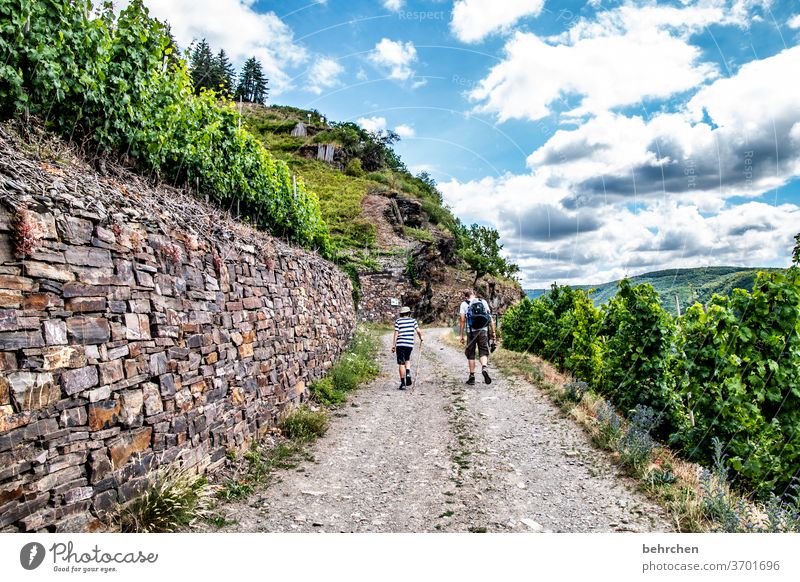 wanderlust | im wein Mauer Kindheit Berge u. Gebirge Umwelt Wolken Jahreszeiten Ausflug wandern Natur Außenaufnahme Weinberg Landschaft Weinstock Farbfoto