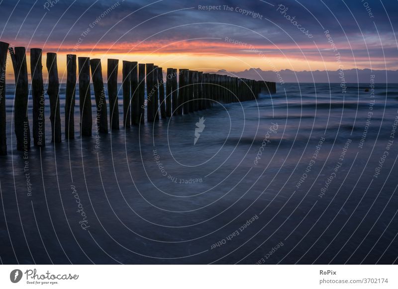 Strandsicherung nahe Calais im Abendlicht. beach Küste Meer sea Ozean Sandstrand Buhnen Pfahl pfähle strandbefestigung Natur Naturgewalten Gezeiten tides Sommer