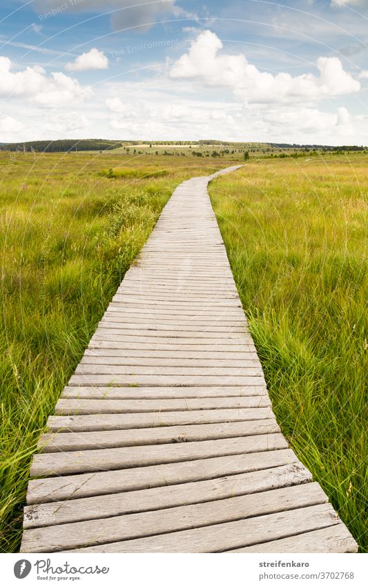 Holzsteg durch das Hohe Venn durch grünes Gras unter blauem Himmel Moor Hochmoor Hohes Venn Belgien Naturschutzgebiet Holzpfad Holzstege Landschaft Menschenleer