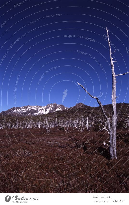 Klimawandel Abenteuer Berge u. Gebirge wandern Umwelt Natur Luft Himmel Wetter Schönes Wetter Ferne frei blau Coolness Australien Tasmanien Quaste Überlandweg