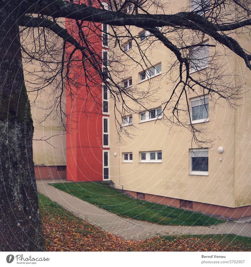 Zone Siedlung wohnen Haus mehrstöckig Mehrfamilienhaus Eintönig Wege & Pfade Stadt Plattenbau Fenster Pflastersteine Baum rot gelb Ast Zweig trist Herbst