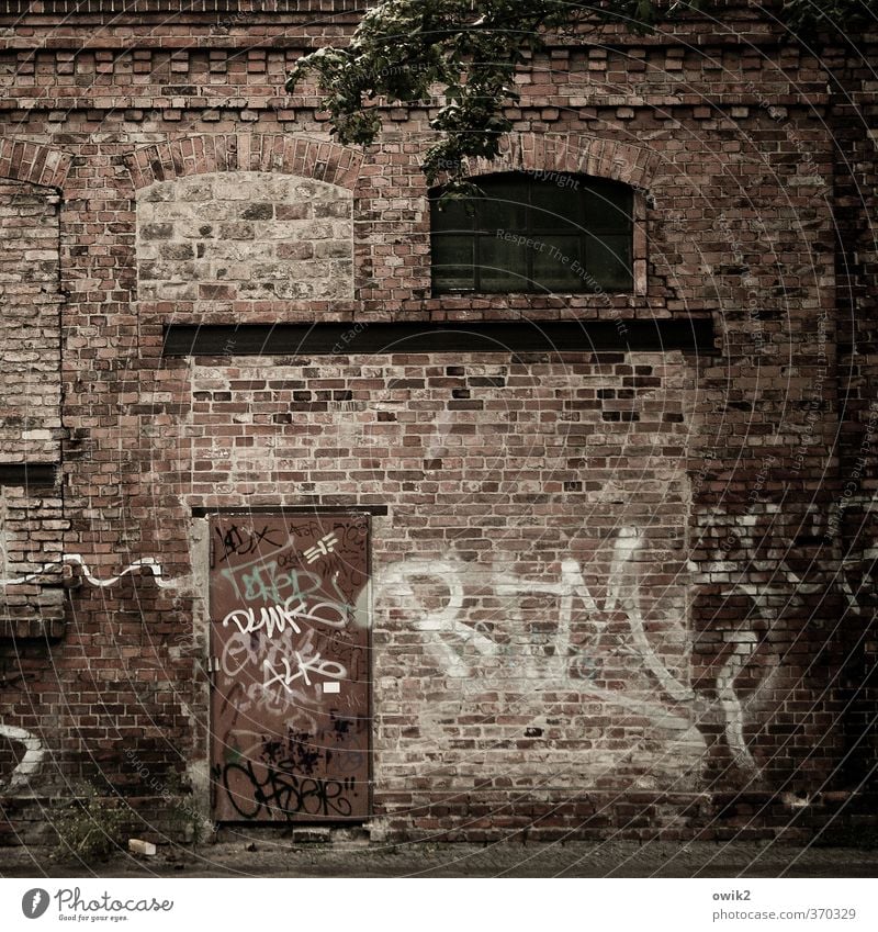 Berlin Wedding Jugendkultur Subkultur Graffiti Haus Mauer Wand Fassade Fenster Tür Backstein dunkel rebellisch trashig verrückt wild rebellieren Buchstaben