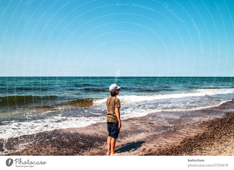 wo bleibt der sommer? weite Sehnsucht Fernweh träumen blau Himmel Ostsee Landschaft Natur Wasser Wellen Strand Meer Darß Küste Farbfoto Ostseeküste Tourismus