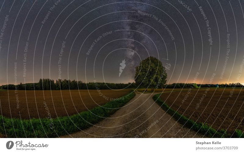 Die Milchstraße über einem einsamen Baum mit viel Platz zum Kopieren. Textfreiraum Natur Feld rein niemand keine Person Stern Galaxie Schönheit Weg Straße