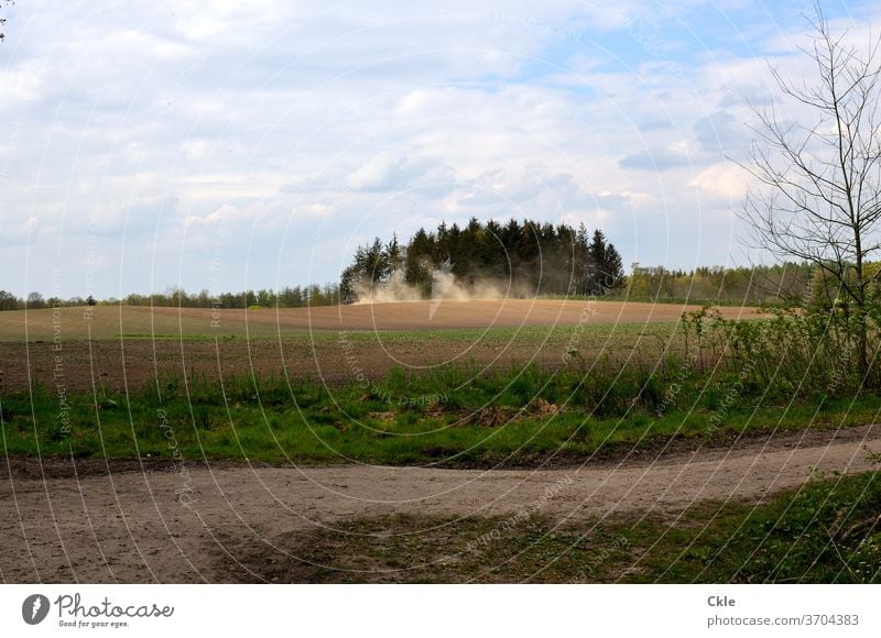 Staubwolke vor Bauminsel Feld Feldweg Landwirtschaft Bäume Naturschutzgebiet Sand Sandweg Grün Außenaufnahme Umwelt Farbfoto Landschaft Schönes Wetter Tag