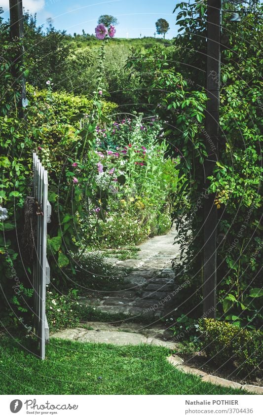 Wunderschöner Blumengarten mit kleinem Holztor und Haus im Hintergrund Garten Gasse Gate hölzern Cottage Bäume Blumenbeete Gartenarbeit Sommer Gras Rasen bunt