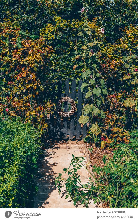 Wunderschöner Blumengarten mit kleinem Holztor und Haus im Hintergrund Gasse Gate Garten hölzern Cottage Bäume Gartenarbeit Sommer Rasen bunt außerhalb Frühling