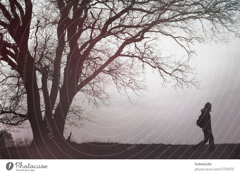 Ich finde dich, auch wenn ich mich verlier Mensch 1 Landschaft Himmel Horizont Herbst Winter Baum Wiese Feld Wald wandern Einsamkeit einzeln gehen Geäst dunkel