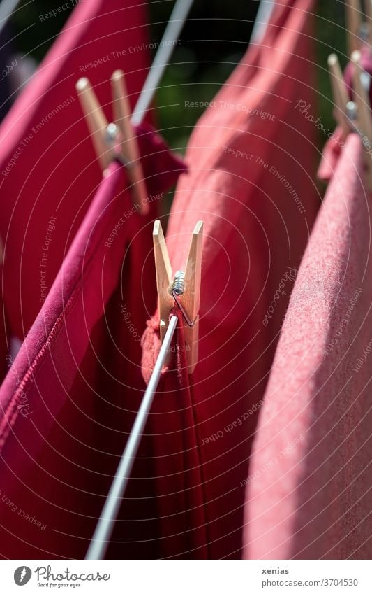 Rote Kleidungsstücke hängen zum Trocknen auf dem Wäscheständer trocknen rot Leine Wäscheklammer Haushalt Sauberkeit Wäscheleine Bekleidung Waschtag