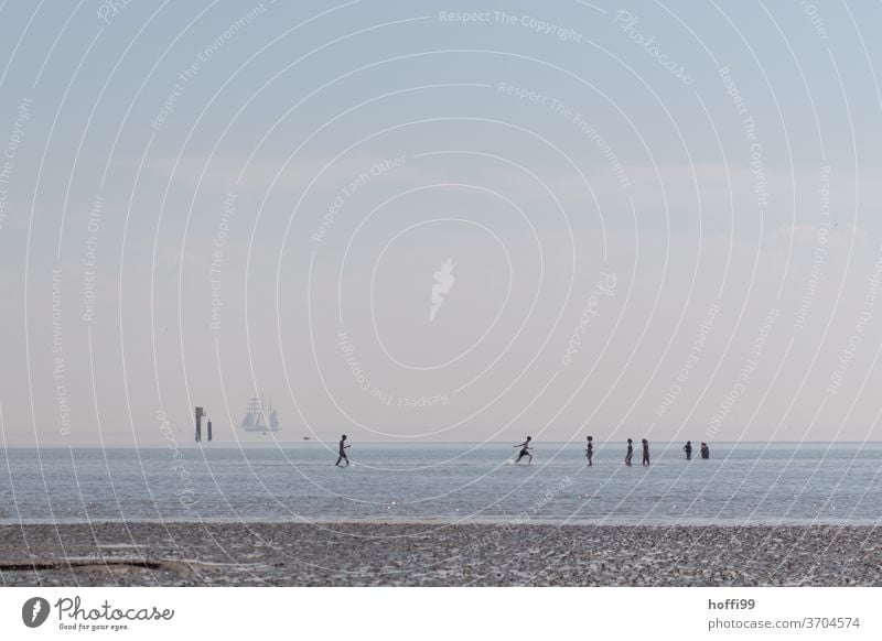 die Menschen erfrischen sich in der auflaufenden Flut -Sommerfrische am Meer sommerfrische Wattenmeer baden seichtes Wasser auflaufendes Wasser Nordsee Horizont