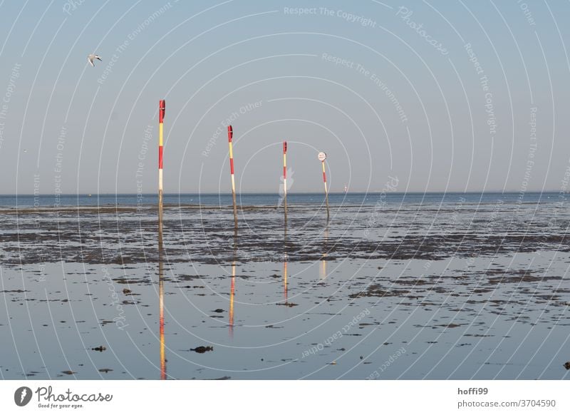 Stangen im Watt - der Möwe ist's egal  .... Badebereich Markierungslinie Wattenmeer Schwimmbad bewachter strand Strand Nordsee Wasser Sand Sonne Himmel Ebbe