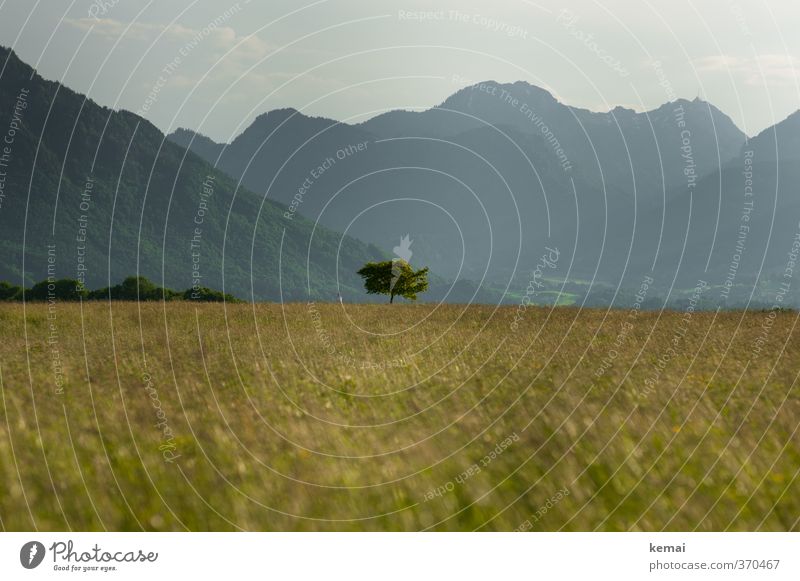 AST6 Inntal | Nachbarsort Umwelt Natur Landschaft Pflanze Sonne Sonnenlicht Sommer Schönes Wetter Baum Gras Felsen Alpen Berge u. Gebirge Gipfel Kirche hoch