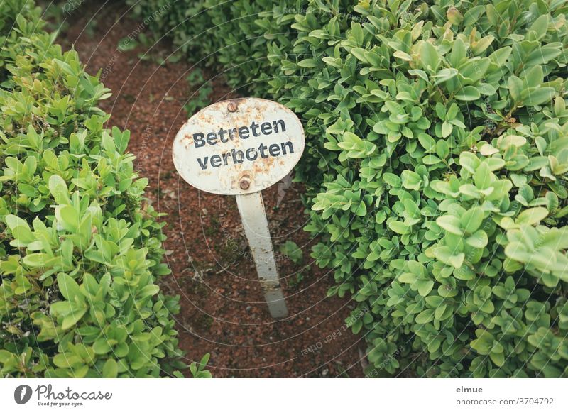 Ein "Betreten verboten" - Schild zwischen zwei kleinen Hecken appelliert an die Parkbesucher, sich gesittet auf den Wegen fortzubewegen betreten verboten