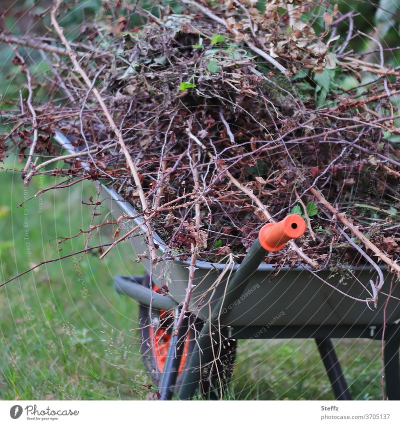 Gartenarbeit Rosen Dornen Gartenabfall Rosen schneiden verblüht Karre Gartenpflege Gartenpflanzen verblühen Sträucher August beladen aufräumen griffbereit