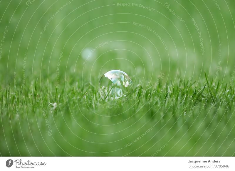 Seifenblase auf einer Wiese grün Grünfläche bunt glitzernd Gras Rasen Weide Natur Sommer Landschaft Grasland schön Außenaufnahme zerplatzen dünn hauchdünn