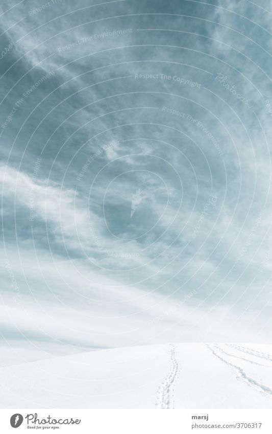 Endlose Weite, mit Spuren im Schnee, die sich am Horizont verlieren. endlos Freiheit Schönes Wetter Winter Farbfoto Textfreiraum oben Landschaft Himmel kalt