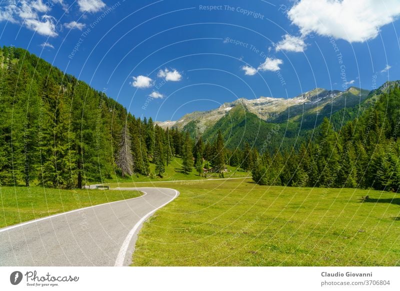 Berglandschaft entlang der Straße zum Crocedomini-Pass Brescia Europa Italien Juni Lombardei Farbe Tag grün Landschaft Berge u. Gebirge Natur Fotografie Pflanze