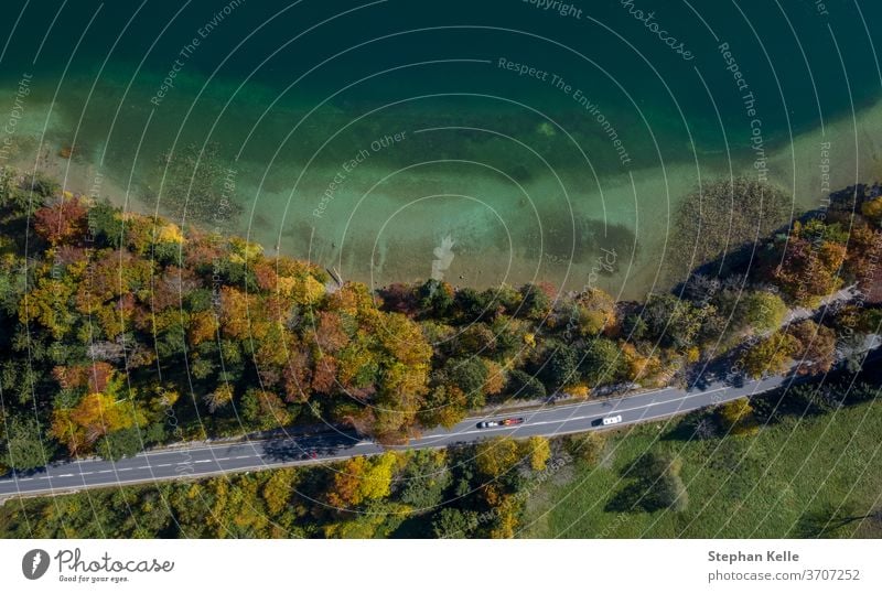 Draufsicht auf einen Strand in der Nähe von Bäumen und eine Straße mit fahrenden Autos im Herbst. Baum Wasser Spätsommer Natur MEER Landschaft Bucht Ufer Küste