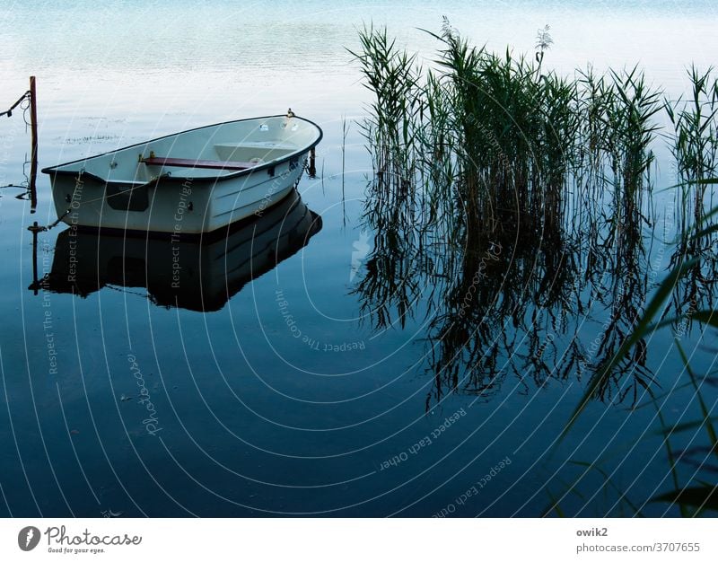 Flaute Ruderboot See Feierabend Reflexion & Spiegelung Textfreiraum unten Textfreiraum oben Natur Himmel Schönes Wetter Umwelt friedlich Idylle Farbfoto