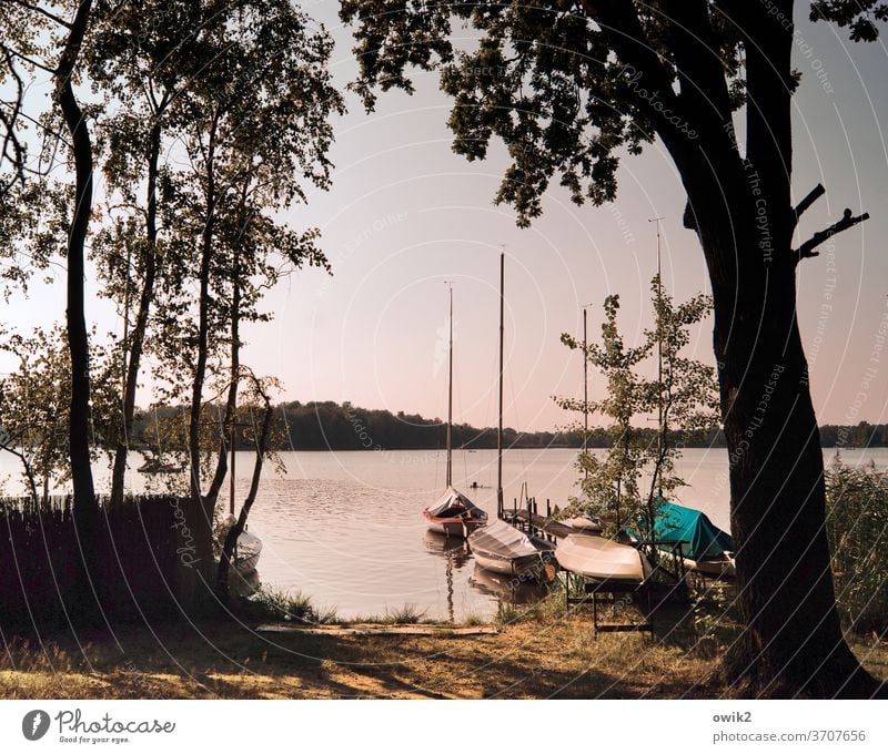 Privatvergnügen Panorama (Aussicht) Anlegestelle Idylle ruhig Steg Ruderboot Insel Seeufer Wald Baum Schönes Wetter Klima Herbst Horizont Wolkenloser Himmel