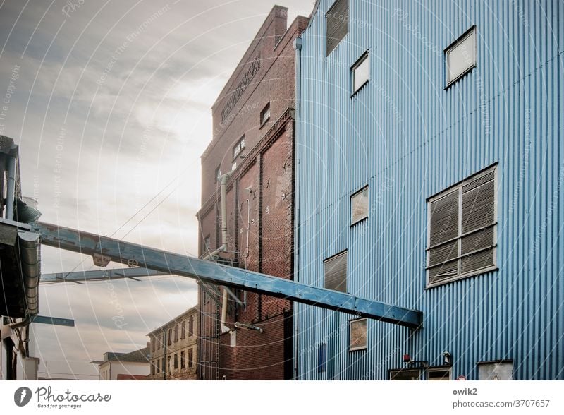 Kontor Gebäude Lagerhalle Wellblechwand Hafen Gestell Arbeit & Erwerbstätigkeit Arbeitsplatz Rechtschaffenheit Abend Wirtschaft Detailaufnahme Architektur