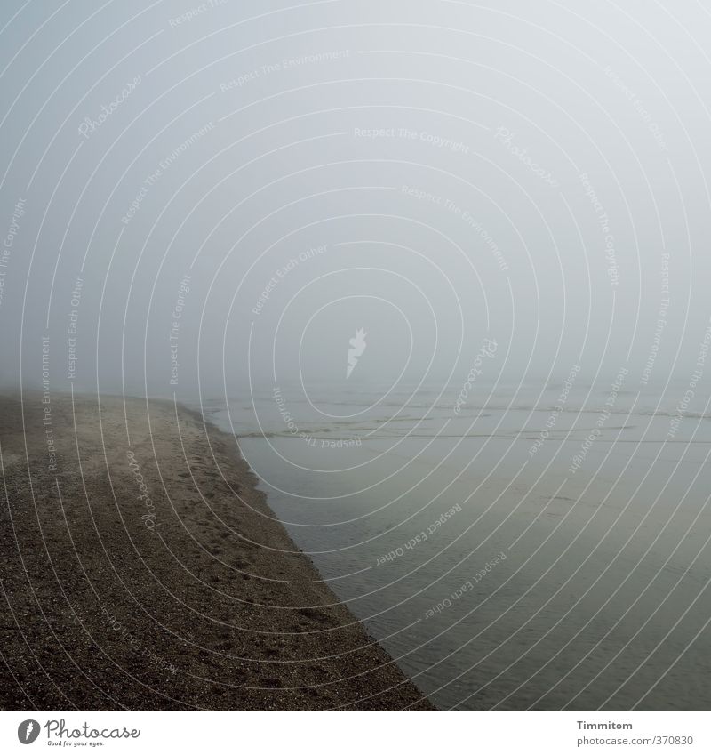 Nordsee. Ferien & Urlaub & Reisen Umwelt Natur Erde Wasser Himmel schlechtes Wetter Dänemark dunkel einfach braun grau Gefühle Strand ruhig Farbfoto