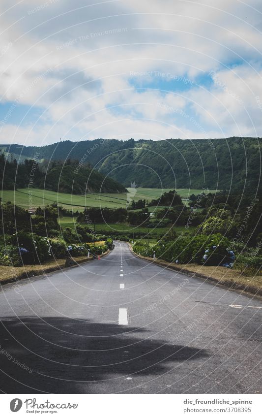 Die Straße entlang Beton gerade Azoren Berge Hügel Vulkan Strauch Berge u. Gebirge Landschaft Menschenleer Außenaufnahme Natur Farbfoto Himmel Umwelt Tag Wolken