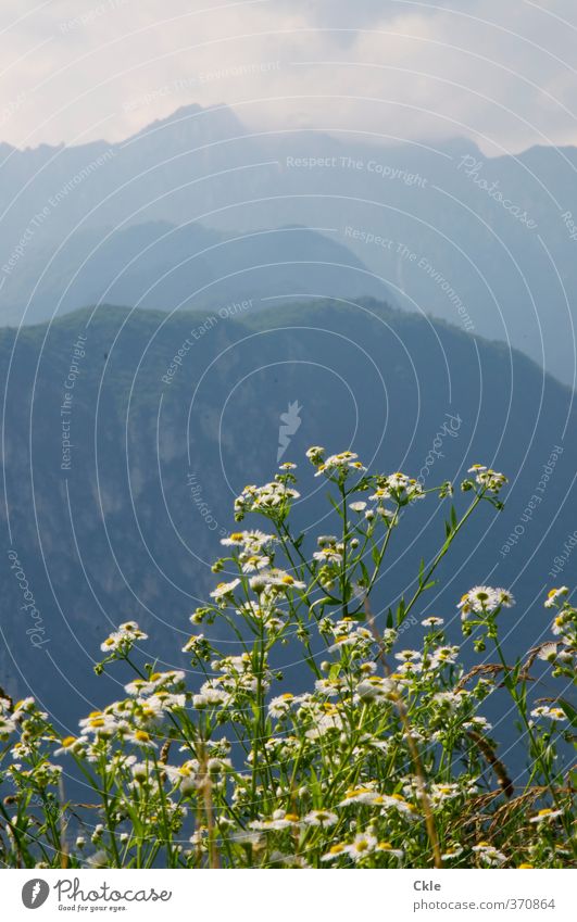 Vom Monte Brione ruhig Ferien & Urlaub & Reisen Abenteuer Berge u. Gebirge wandern Klettern Bergsteigen Natur Landschaft Pflanze Himmel Wolken Wetter Felsen